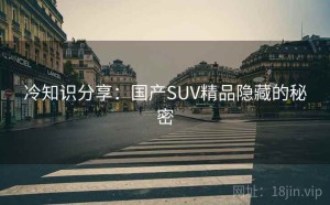 冷知识分享：国产SUV精品隐藏的秘密
