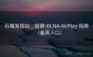 石榴发现站 _ 投屏-DLNA-AirPlay 指南（备用入口）