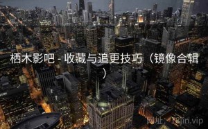 栖木影吧 - 收藏与追更技巧（镜像合辑）