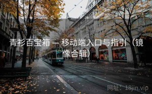 青衫百宝箱 — 移动端入口与指引（镜像合辑）