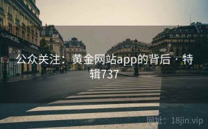 公众关注：黄金网站app的背后 · 特辑737