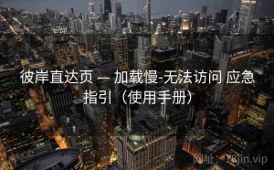 彼岸直达页 — 加载慢-无法访问 应急指引（使用手册）