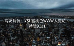 网友调侃：YSL蜜桃色WWW太魔幻 · 特辑9111