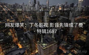 网友爆笑：丁冬影视 影音先锋成了梗 · 特辑1687