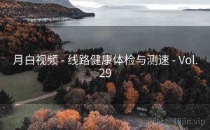 月白视频 - 线路健康体检与测速 - Vol.29