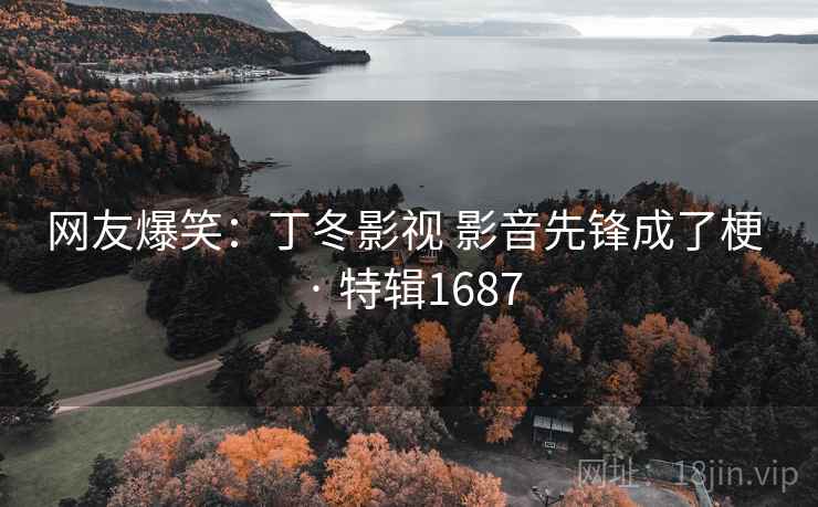 网友爆笑：丁冬影视 影音先锋成了梗 · 特辑1687