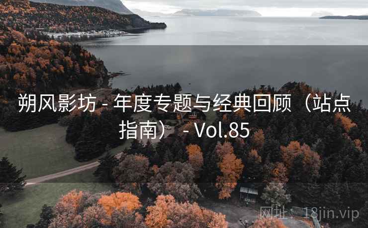 朔风影坊 - 年度专题与经典回顾（站点指南） - Vol.85