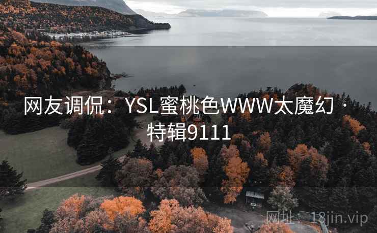网友调侃：YSL蜜桃色WWW太魔幻 · 特辑9111