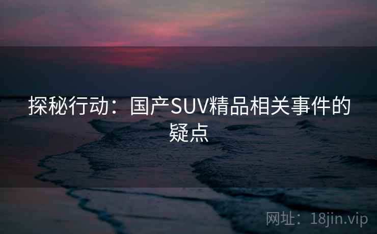 探秘行动:国产SUV精品相关事件的疑点 探秘行动:国产SUV精品相关事件的疑点