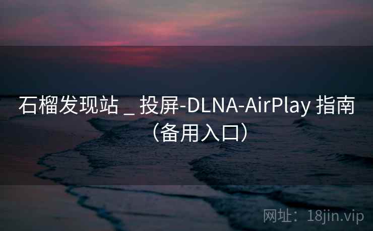 石榴发现站 _ 投屏-DLNA-AirPlay 指南（备用入口）