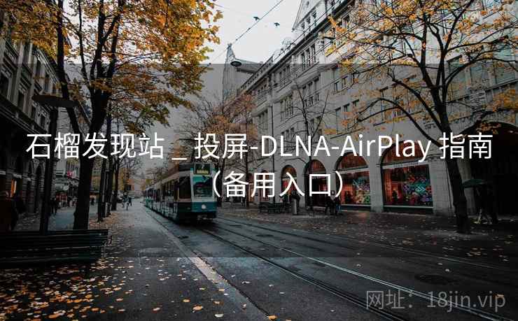 石榴发现站 _ 投屏-DLNA-AirPlay 指南（备用入口）